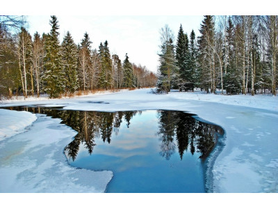 Биологическое значение воды